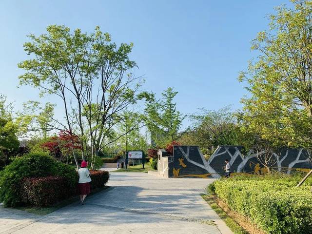 在太和县沙颍河湿地公园 通过一条美丽的长廊 两侧的樱桃树早已 挂满