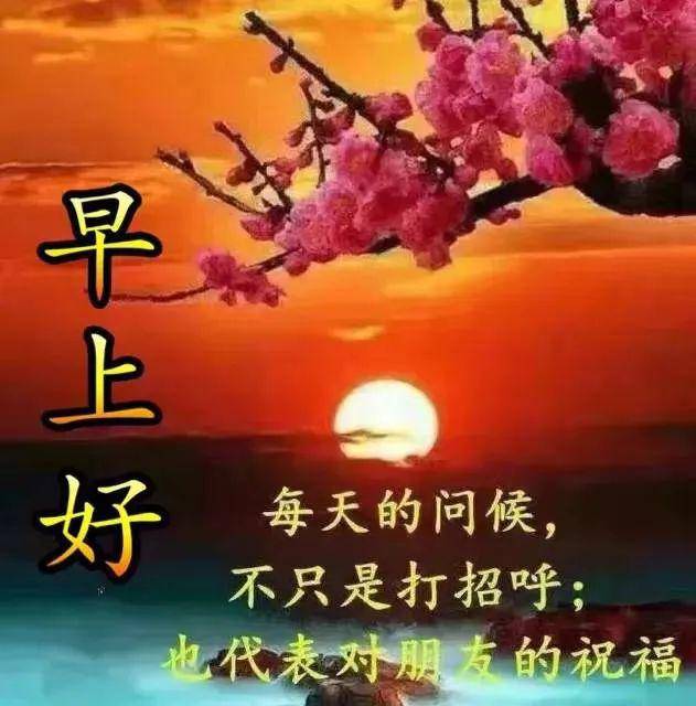 2020早上好特漂亮的问候祝福图片 春天温馨的早安问候