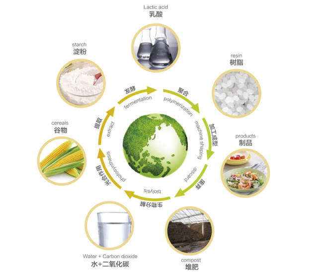 生物塑料,可堆肥,可降解:从今天的塑料走向可持续的未来