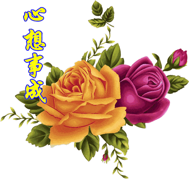 早上好祝福语大全表情 早上好问候语 晚上好的问候