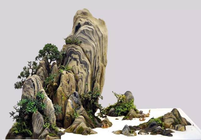 盆景细微技术流:山石盆景具自然意趣,需让山脚曲线起伏有致!