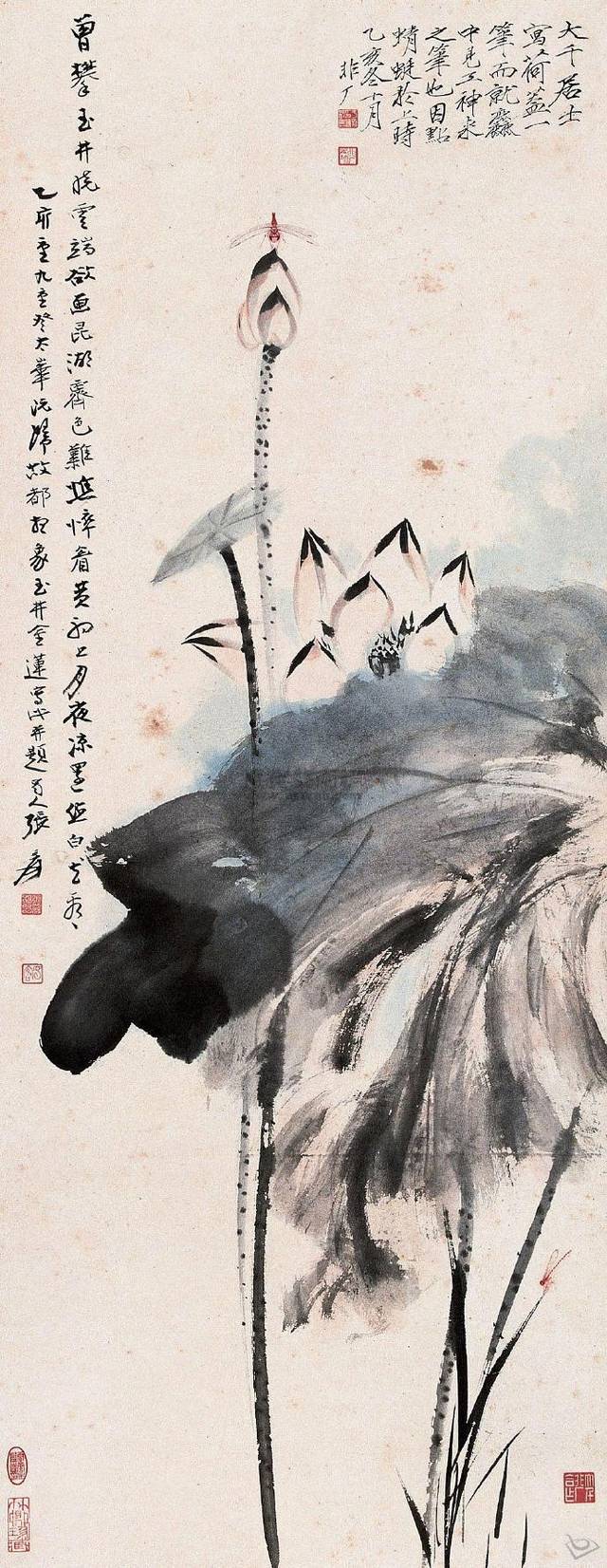 中国国画大师张大千荷花作品欣赏