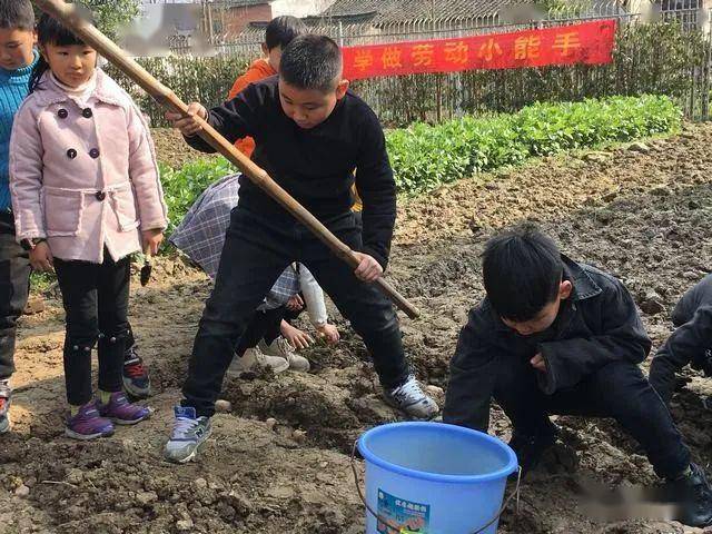 劳动教育的重要目的:让孩子有幸福生活的能力!