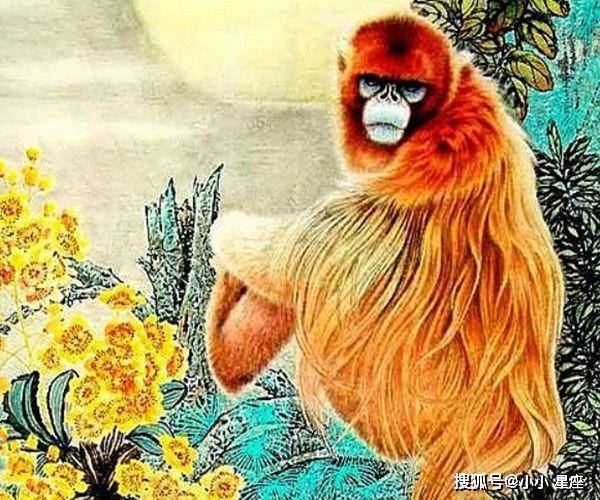 "最靠不住"的四大生肖男,对他在好都是浪费,整天生气吵不停!