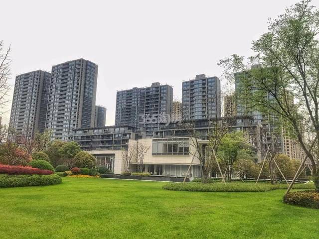 绿城桂语听澜轩,绿城桂语听澜轩户型,绿城桂语_大山谷图库