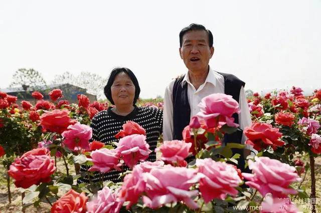 临猗竟然还有这么迷人的地方!县长都去了!