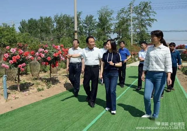 喜欢的,请点  杜建国临猗月季园景莉莉靳国全临猗网 平台声明