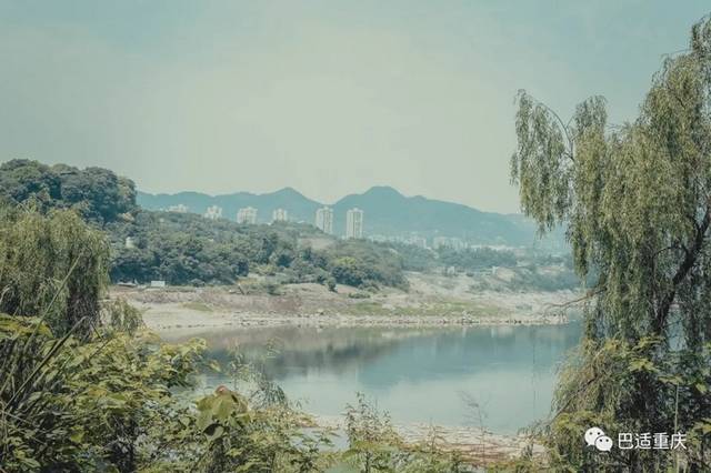 大竹林藏着重庆小垦丁