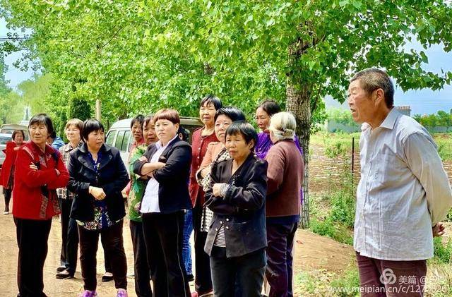 黄河边青山绿水,鹰嘴山碧波万里,洛阳市新安县仓头镇印象