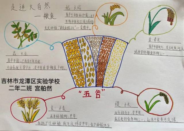 自然笔记·我与自然的相遇 | 第三波入围作品