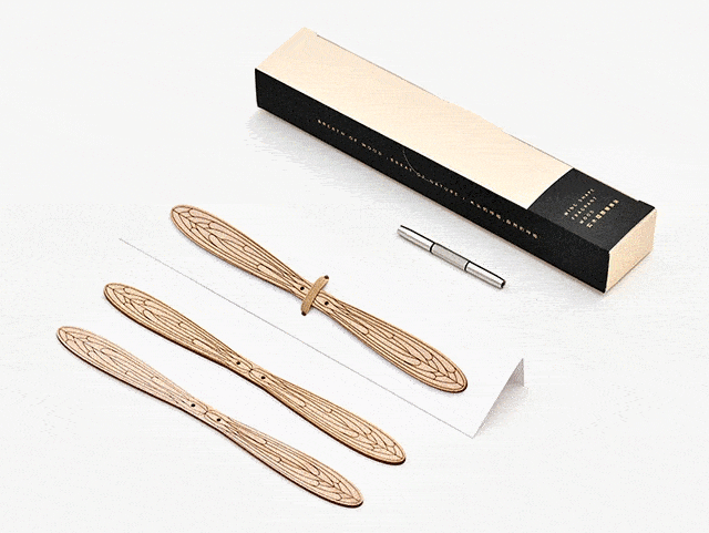 众筹|永远飞不走的