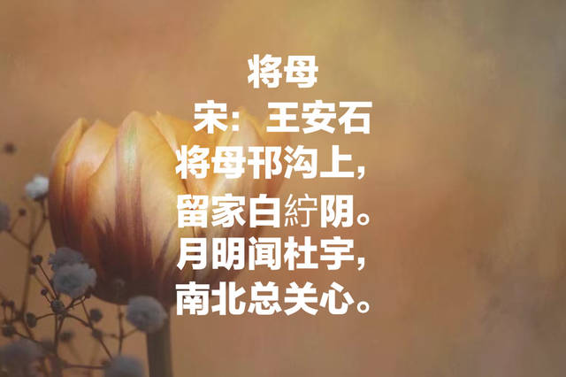 原创今日母亲节:欣赏十首关于母亲的古诗,感受诗中对母亲的浓浓爱意