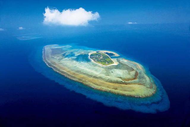 公告中外 这是次审定和宣布南海诸岛的官方地名 珊瑚岛