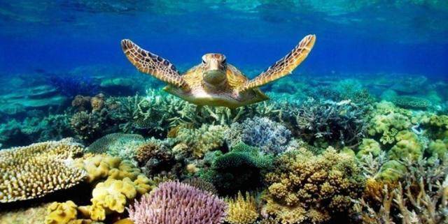 世界上最大最深的海,面积相当于中国面积的一半,平均深度2243米