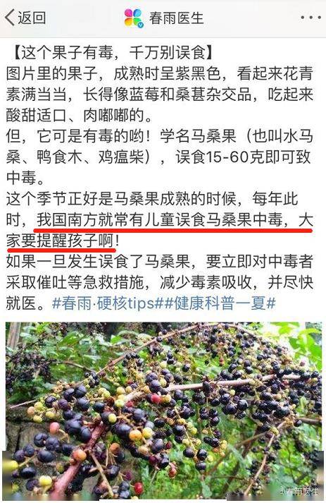 人类食用马桑果后可致死亡