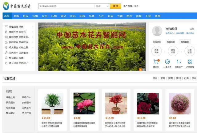 如何选择和使用苗木网站模板进行有效设置？