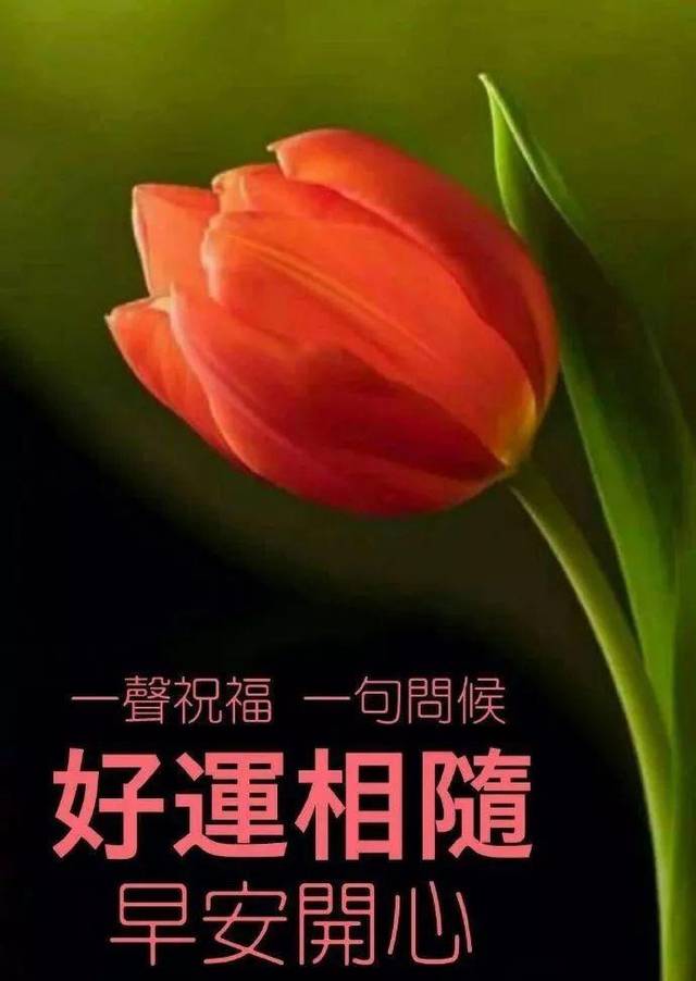 5月11日,特别漂亮的早上好图片表情问候语!