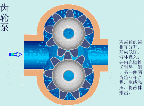 泵我看透你了54个泵结构原理动画超硬的干货