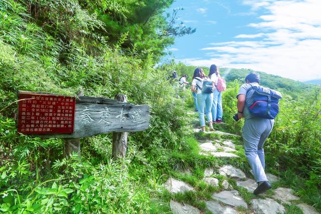 2020年柞水县终南山秦楚古道景区杜鹃花节盛大启幕