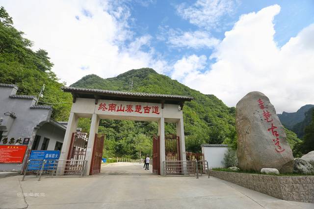 2020年柞水县终南山秦楚古道景区杜鹃花节盛大启幕