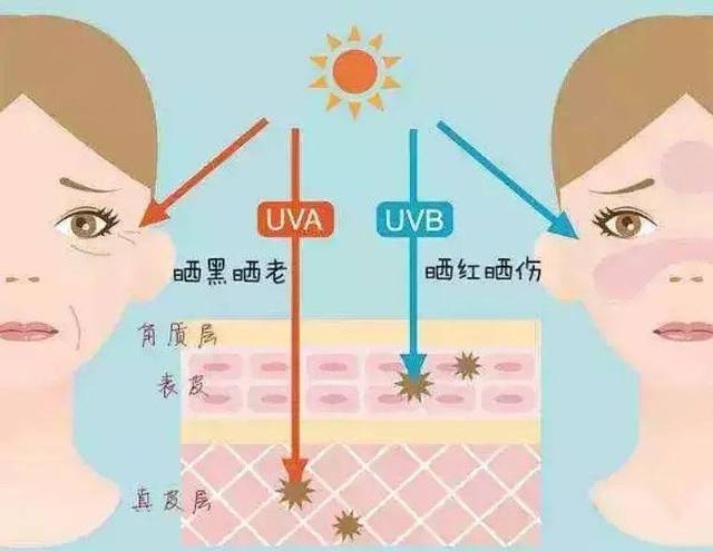 木村拓哉与工藤静香颜值崩坏 竟是不涂防晒的后果?