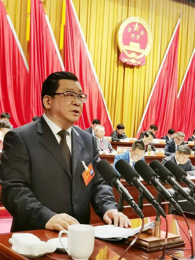 市长杜延安向大会作《政府工作报告》