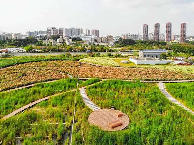 观澜河湿地公园成城市与自然对话平台