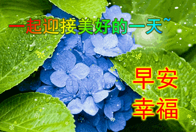 5月13日周三群发早上好问候祝福动态表情图片 5月最美