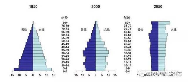 【考向预测】人口年龄结构金字塔图的判读