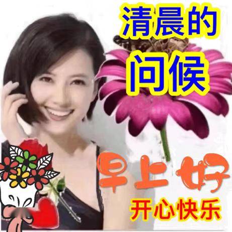 漂亮的美女早上好问候表情图片带字带祝福语