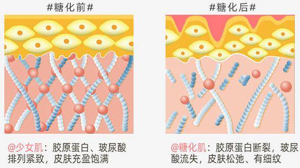 与phase2强强联合,形成"双抗糖保护盾",有效防止肌肤糖化.