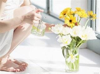 花卉安全度夏(图2)