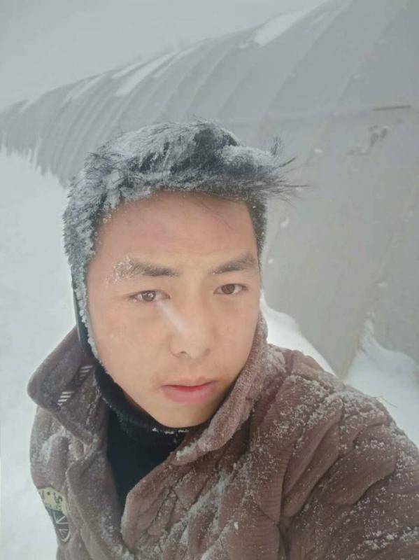 苗木人如何对抗2018暴雪(图1)