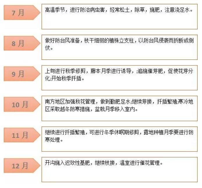 月季施肥月历 0基础学会养月季 超简单(图1)