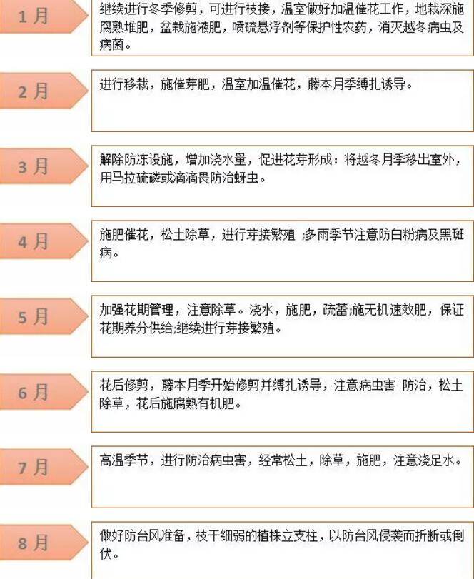 月季施肥月历 0基础学会养月季 超简单(图2)