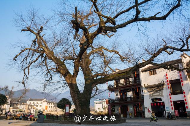 宏村里的这些秘密,你知道几个?