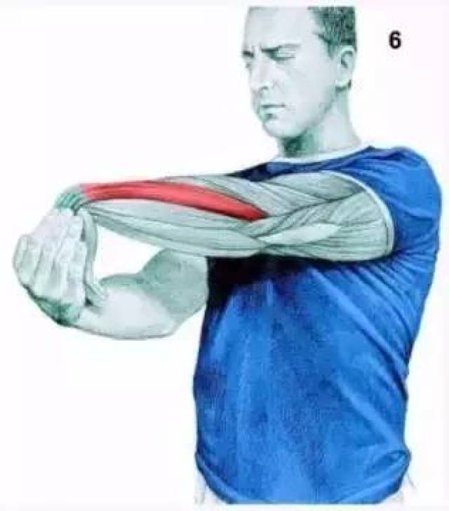 前臂伸直肌拉伸 伸展前臂伸肌 做这个动作的时候要注意肩膀不要高耸