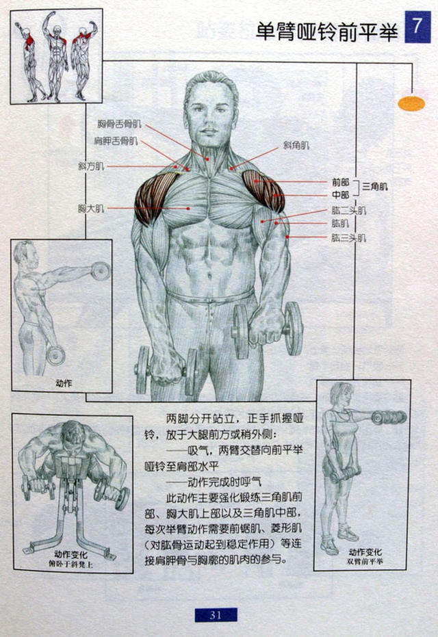 单臂哑铃前平举 双手轮换 一起一落