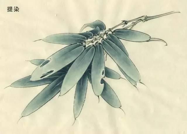 ʻáʻѧϸڴ