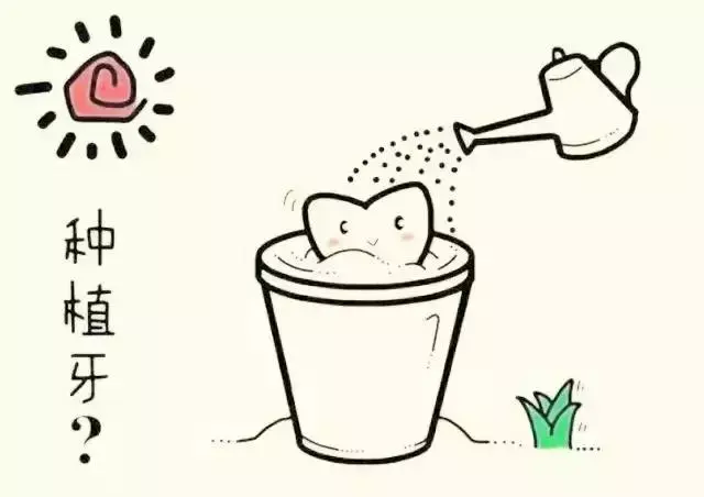 种植牙是在口腔里放一个"种子"让牙萌发吗?