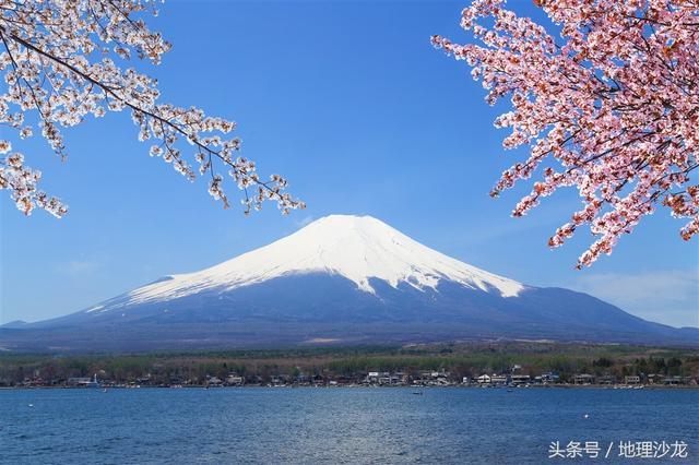 樱花与富士山相映成趣