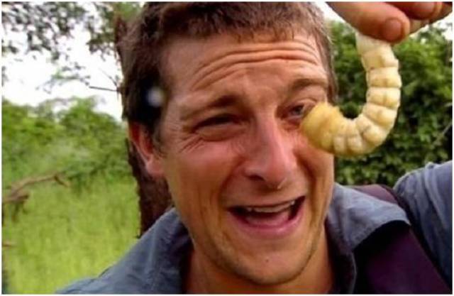 英国荒野求生图片_纵览新闻