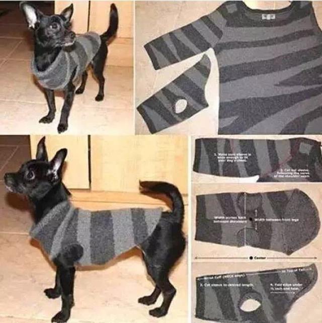 温暖秋裤风 棉衣的袖子也是做狗狗衣服的好材料,不过狗狗的体型不能
