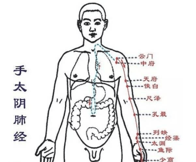 人体14条经络,一通百通,一堵百堵!