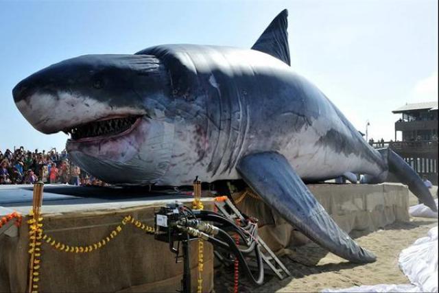 史上最恐怖鲨鱼,体型堪比鲸鱼,海洋里的残酷杀手