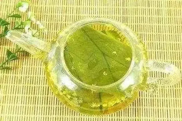 夏季常喝荷叶泡水 减肥还防病