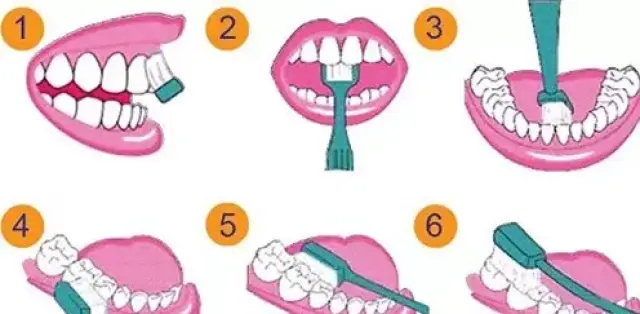 1 先说刷牙 很多人比较习惯横刷牙齿,这种方法只能简单的刷到牙齿的