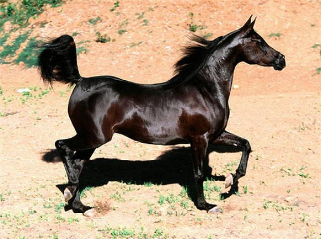 8e1d4b3b8ce04870ba97ba86e67fc6be.jpeg