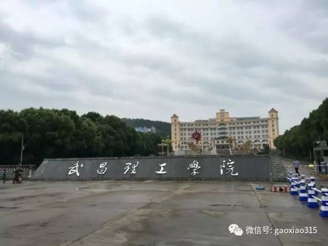 武昌理工学院