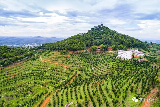 化州竟然有这么美的梯田景观,很多人都不知道!-旅游